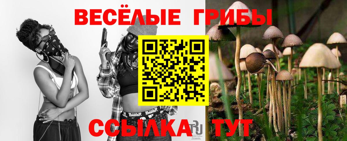 Псилоцибиновые грибы мицелий  Вход с VPN  Реж  Псилоцибиновые грибы мухоморы 